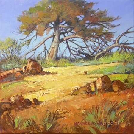 Oil on Stretched CanvasSize: (254x254x18)mmFrame: (350x350x35)mmSOLD 2014 (Franschhoek Art House)